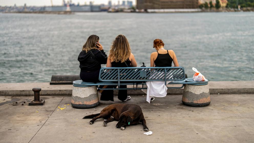 Türkiye, çok sayıda başıboş köpeğin yönetimini amaçlayan bir yasa tasarısı teklif ediyor.  Eleştirmenler bunun insanlık dışı olduğunu söylüyor