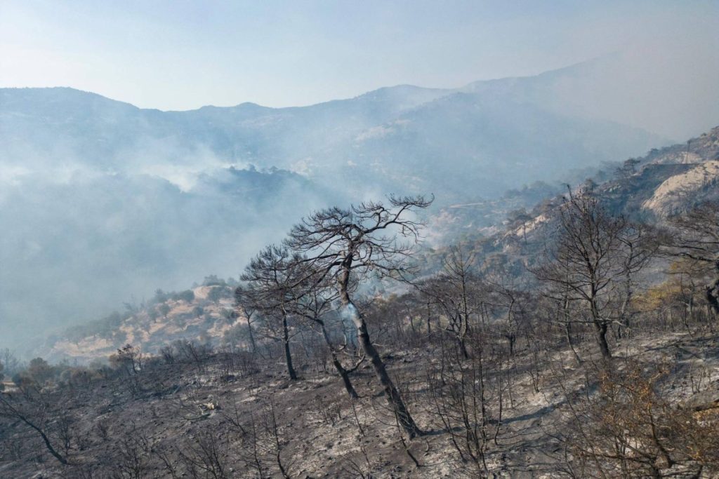 Türkiye’nin batısındaki orman yangınları üst üste üçüncü günde devam ediyor